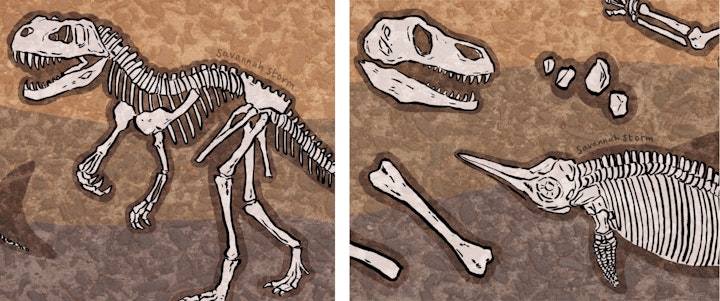 Jurassic Fossils - Two close up illustrations of Jurassic fossils under the ground, showing a dinosaur skeleton, bones, rocks, a fossilised fish, a T-Rex skull and an ammonite.
