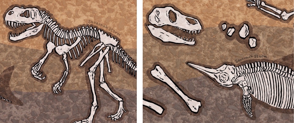 Jurassic Fossils - Two close up illustrations of Jurassic fossils under the ground, showing a dinosaur skeleton, bones, rocks, a fossilised fish, a T-Rex skull and an ammonite.