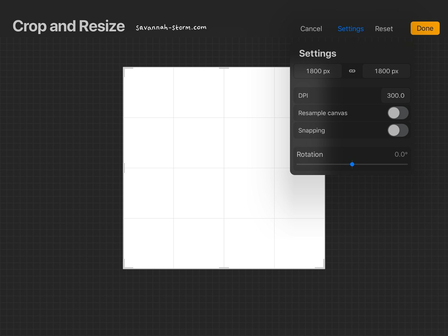 Screenshot of Procreate on the iPad, showing the process of creating an illustrated repeat pattern.