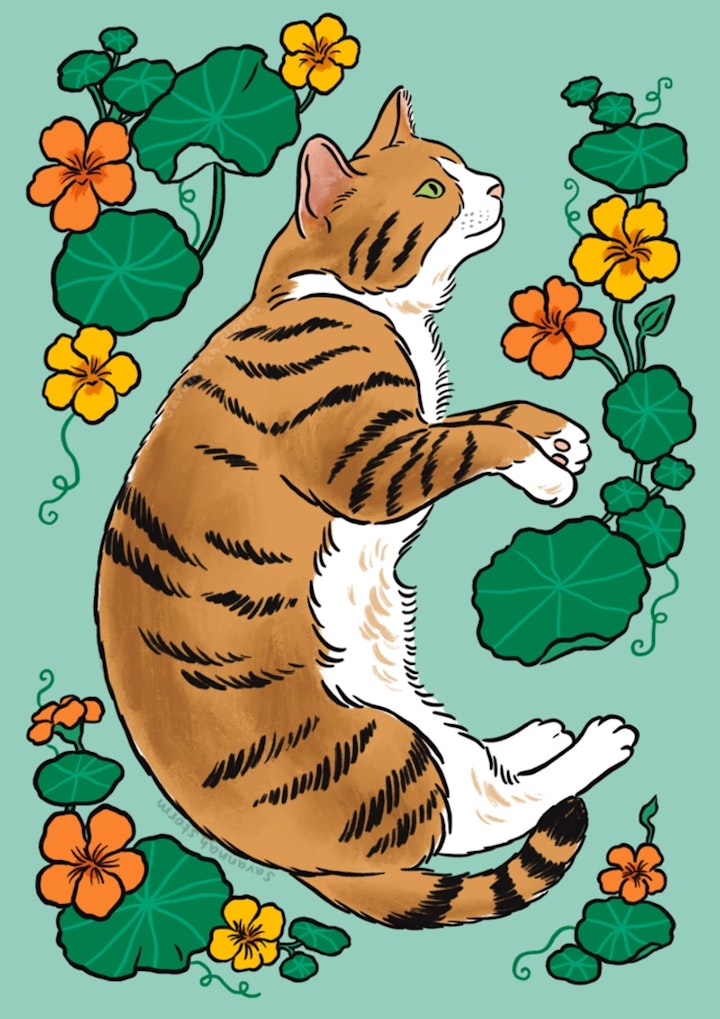 Cat & Nasturtiums