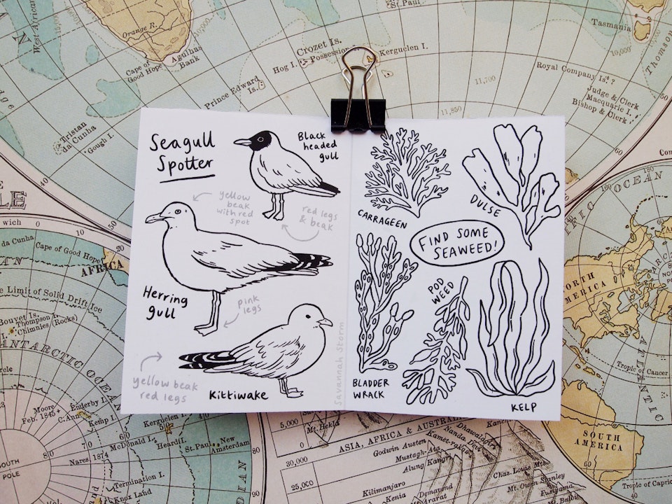 Mini Scavenger Hunt - Illustrated scavenger hunt booklet, open on a page filled with line drawings of nature such as seaweed and birds to colour in.