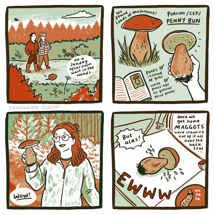 Diary Comics - A 4 panel diary comic about a day out in the woods foraging mushrooms, and how things didn't go exactly to plan!