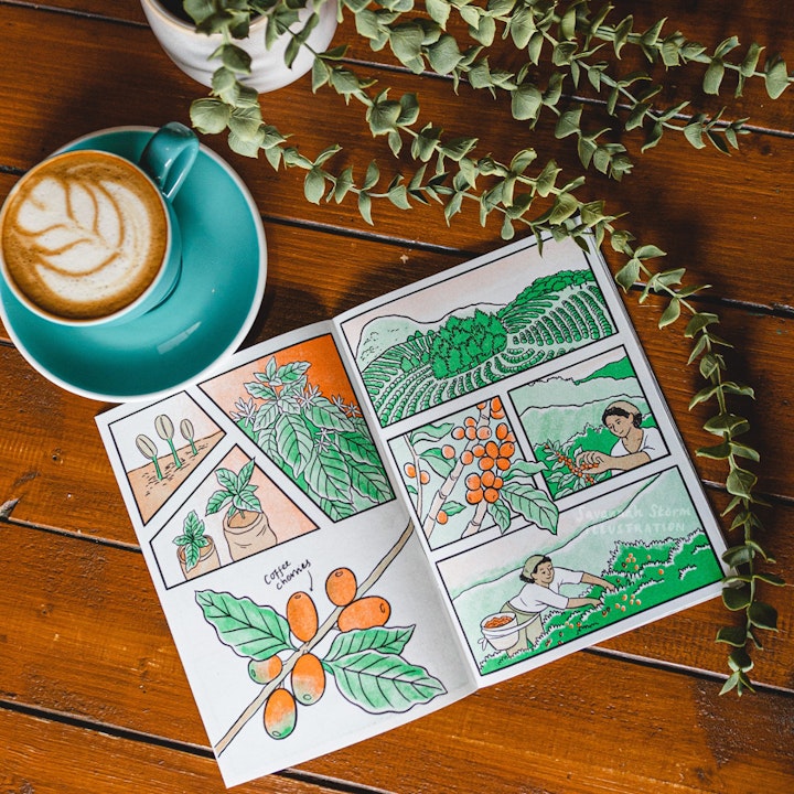 Just a Coffee, please - A graphic novel page showing illustrations of how coffee is grown, farmed and harvested. Botanical diagrams show the coffee seeds growing into plants, bearing ripe coffee cherries.