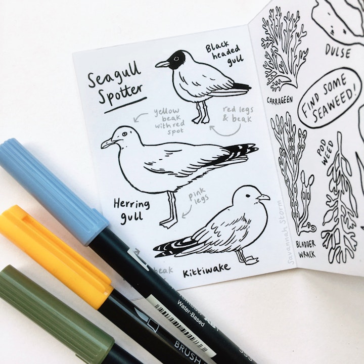 Mini Scavenger Hunt - Illustrated scavenger hunt booklet open on a page with line drawings of seagulls to colour in.