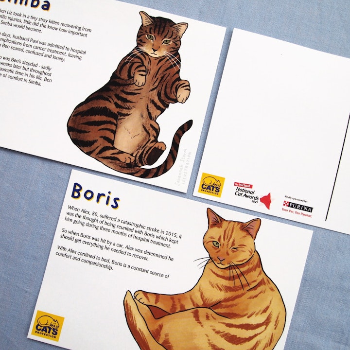 Cats Protection Postcards - Printed postcards with illustrations of tabby cats, to promote the National Cat Awards for Cats Protection charity.