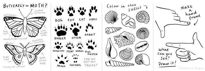 Mini Scavenger Hunt - Illustrations from a scavenger hunt booklet, with line drawings to colour in and nature themed activities to complete.