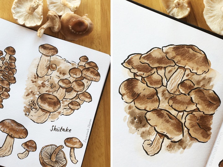 Sketching 'Shrooms