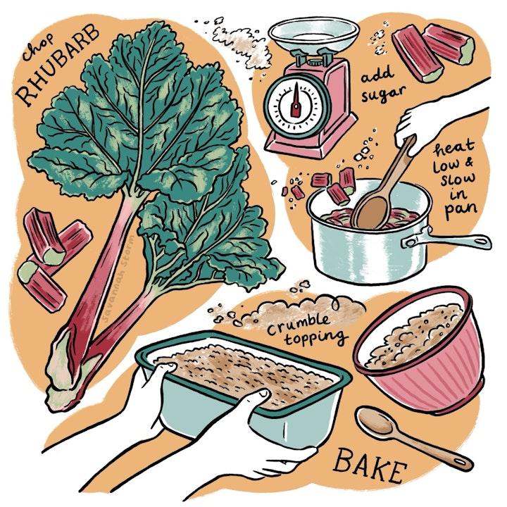 Illustrated Recipes - Illustrated recipe showing how to bake a Rhubarb Crumble.