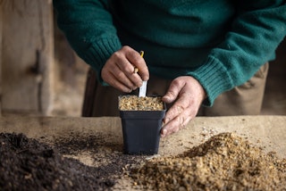 Great Dixter Practical Series