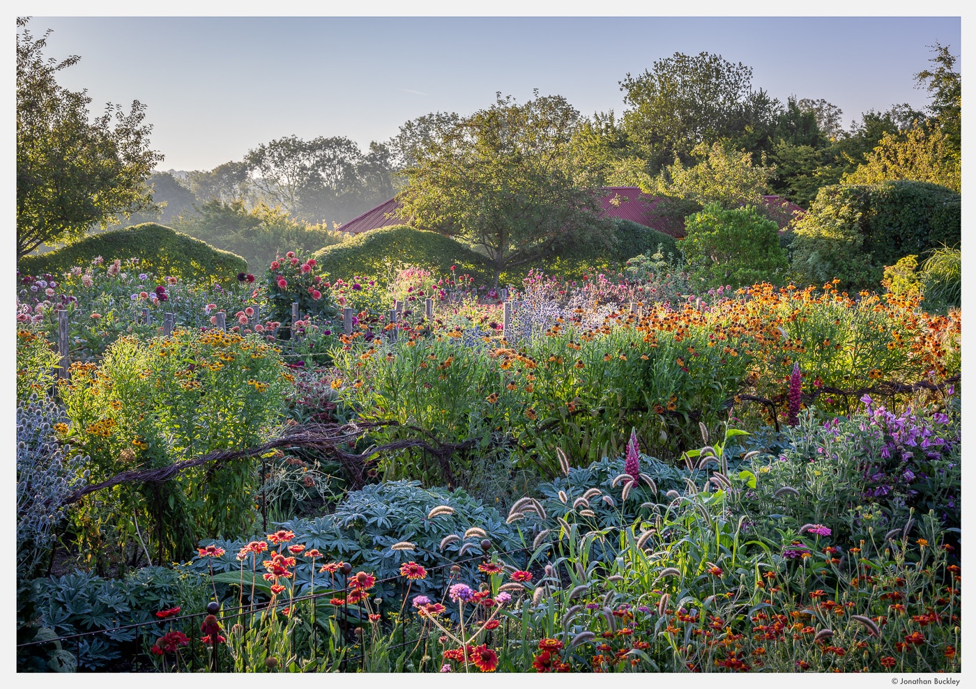 Portfolio - Jonathan Buckley Garden and Flower Photography