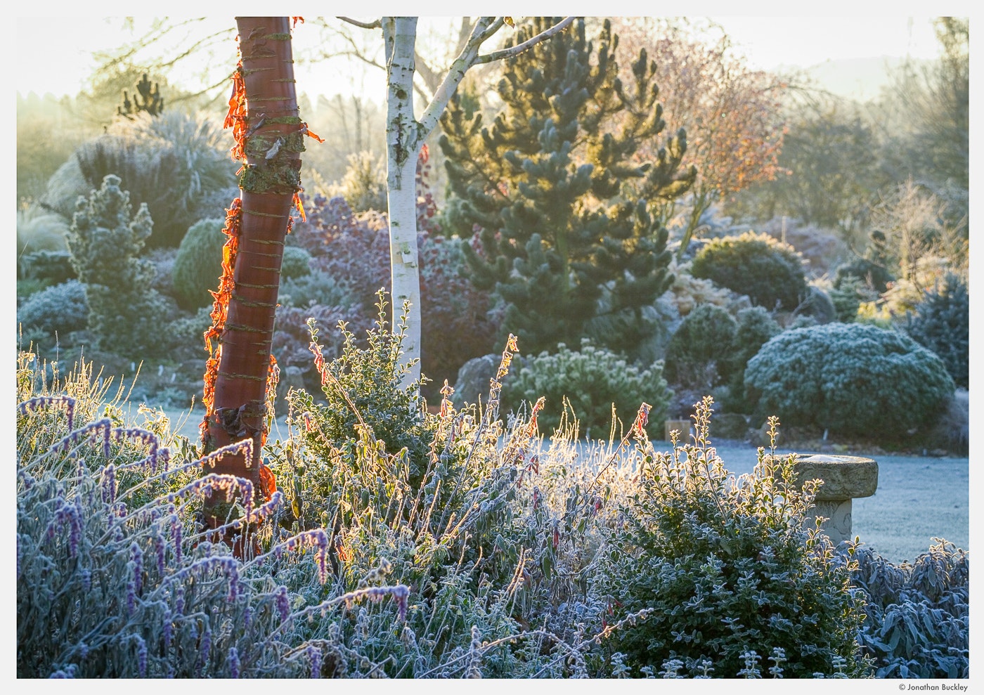 Portfolio - Jonathan Buckley Garden and Flower Photography