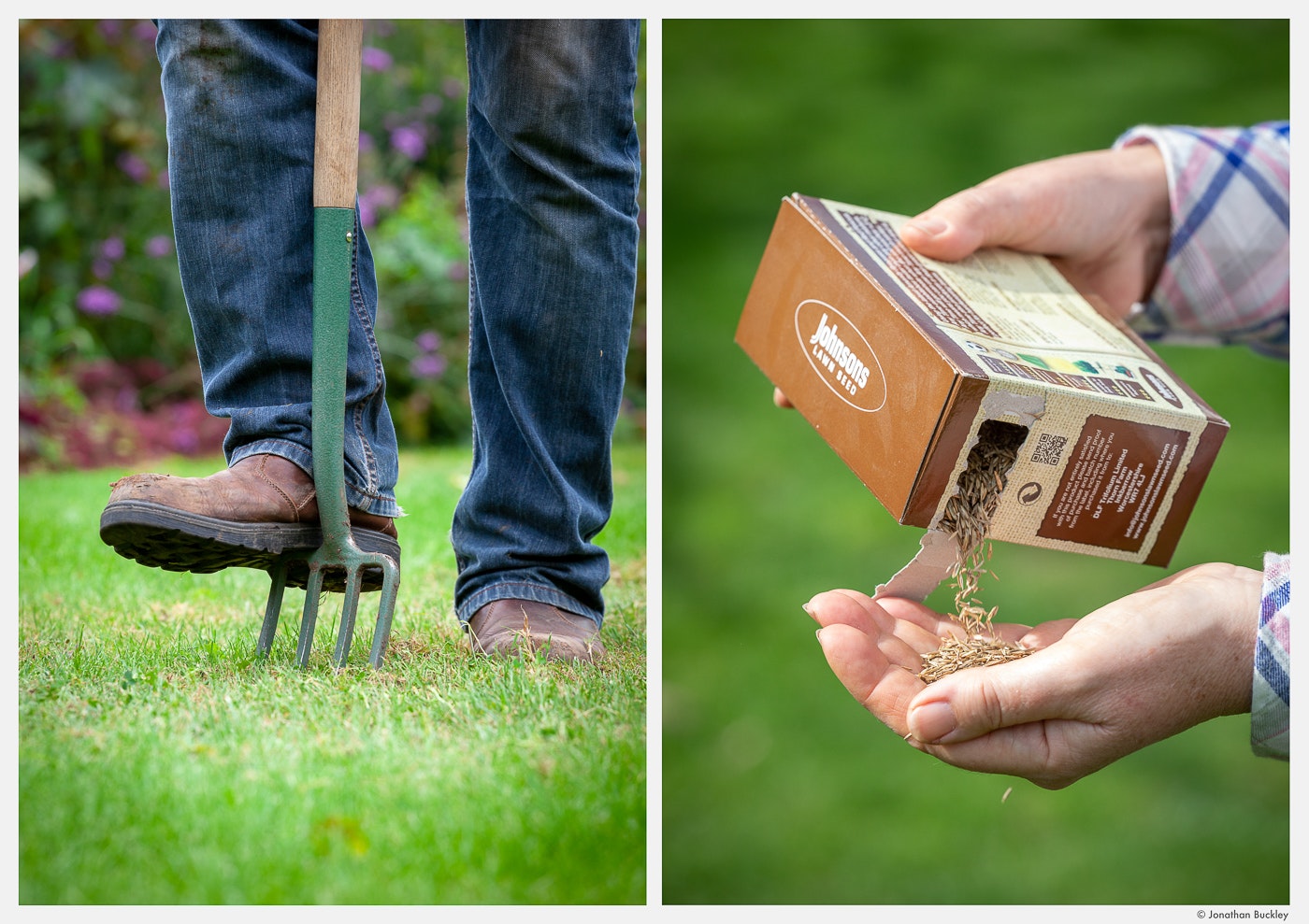 Portfolio Jonathan Buckley Garden And Flower Photography portfolio-jonathan-buckley-garden-and-flower-photography