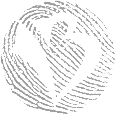 B R A M V E R H E E S