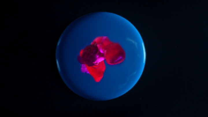 LEIVA NO TE PREOCUPES POR MI