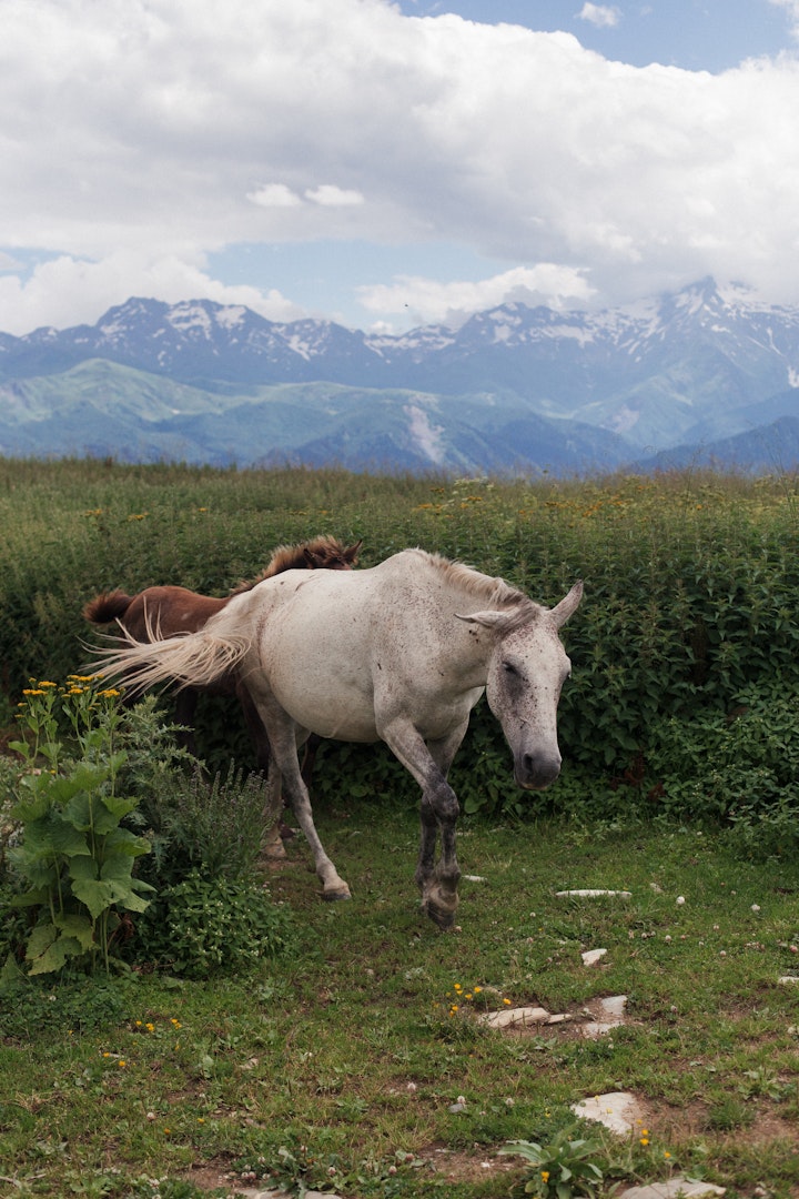 Mestia, Georgia 2024