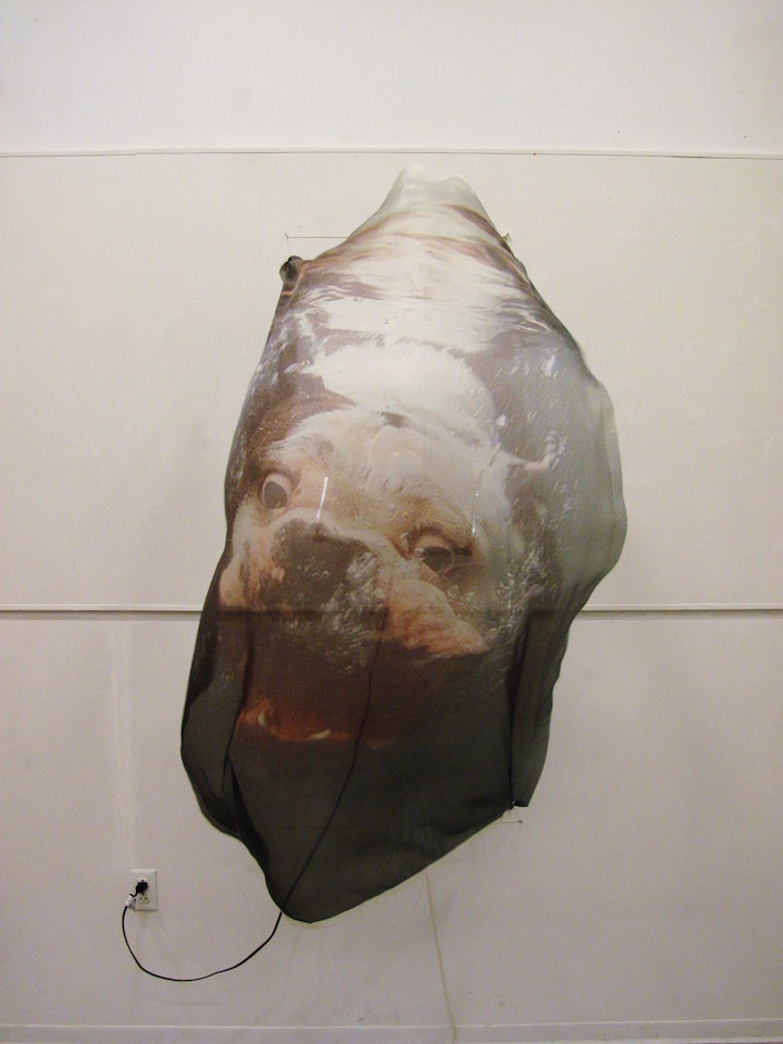 Swimming Dog - Swimming Dog, 2012,  54" h x 55" l x 32" w,  print on silk, string, grommets and fan