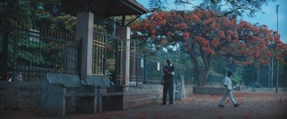 Cadbury Dairy Milk | Park