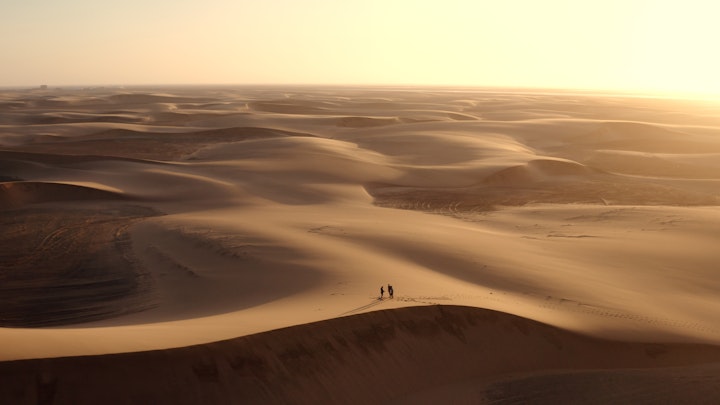 Between San and Insanity