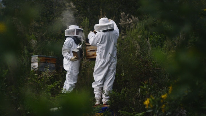 Wesgro - The Neverending Tourist - UK