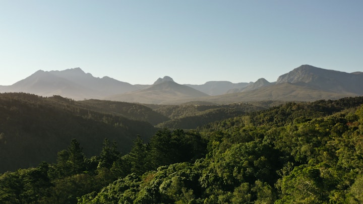 Wesgro - The Neverending Tourist - UK