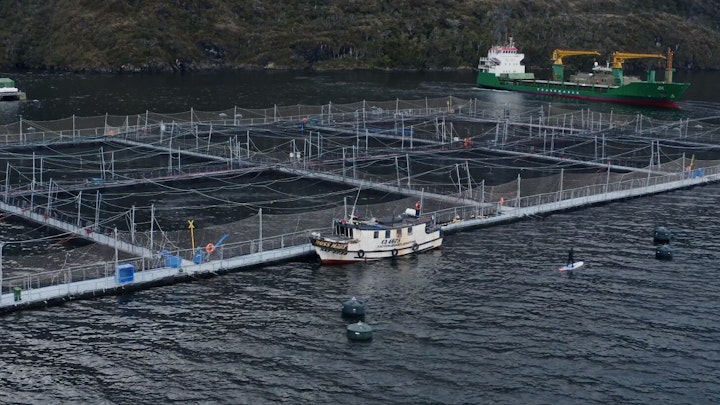 Marine Life - Trailer - Patagonia