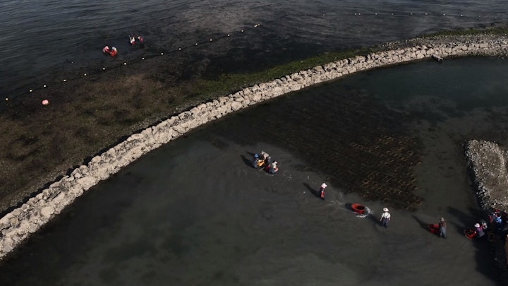Marine Life - Trailer - Patagonia