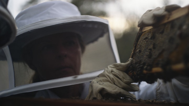 Wesgro - The Neverending Tourist - UK