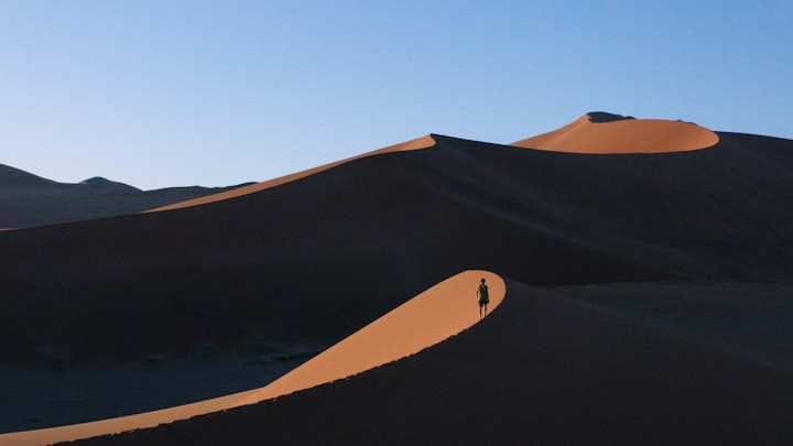 Between San and Insanity