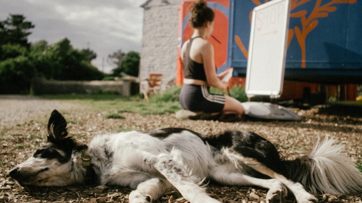 For The Love Of the Sea - Patagonia