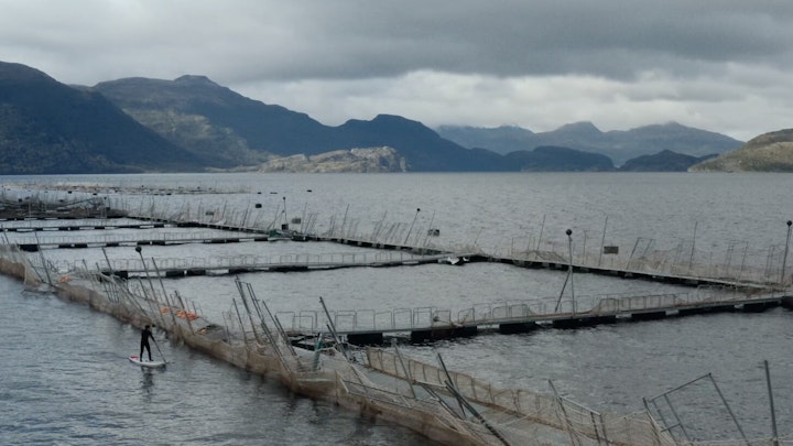 Marine Life - Trailer - Patagonia