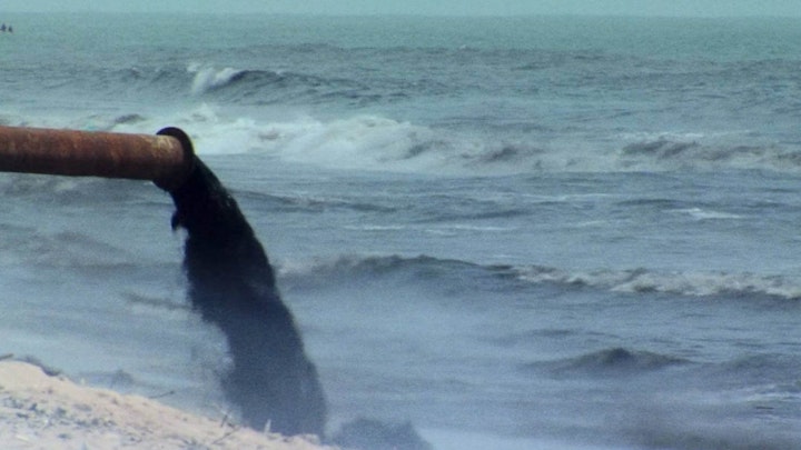 Marine Life - Trailer - Patagonia