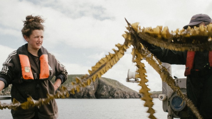 For The Love Of the Sea - Patagonia