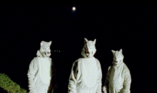 Trailer - Wij Waren Wolven (We Were Wolves)