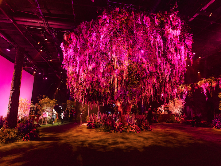 Anastasia Beverly Hills - Halloween Party