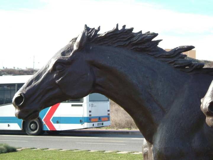 cavalos.vento_5 -