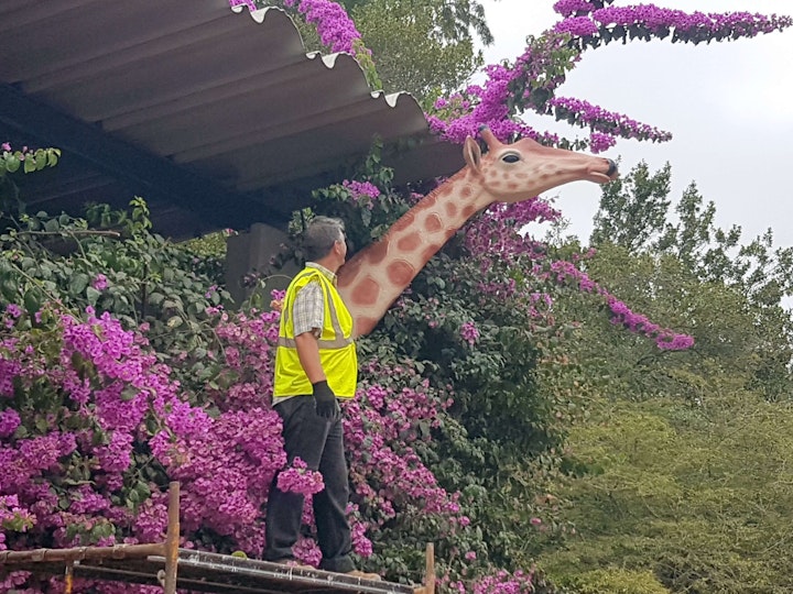 Girafa (Arte Urbana) -