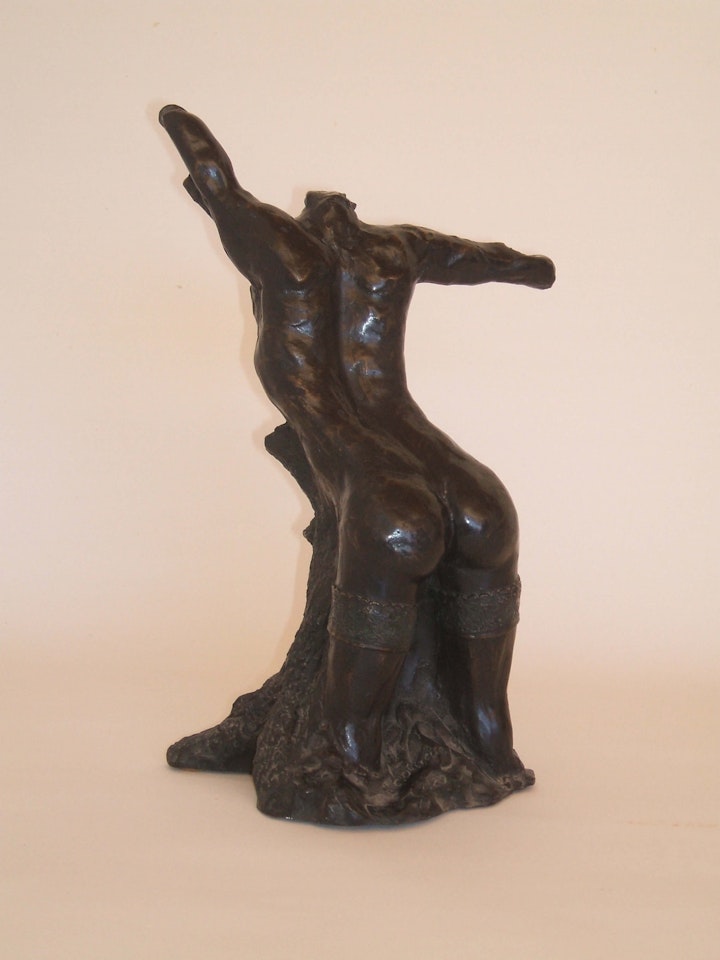 arvores.sensuais_1 -
