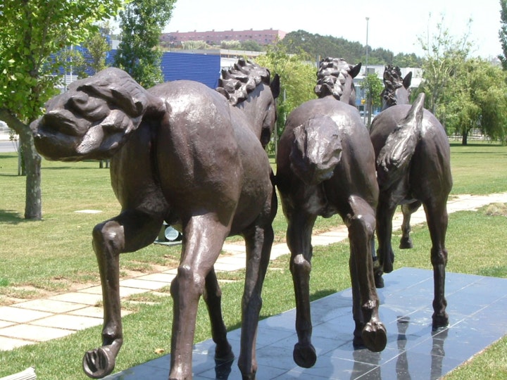 cavalos.vento_7 -