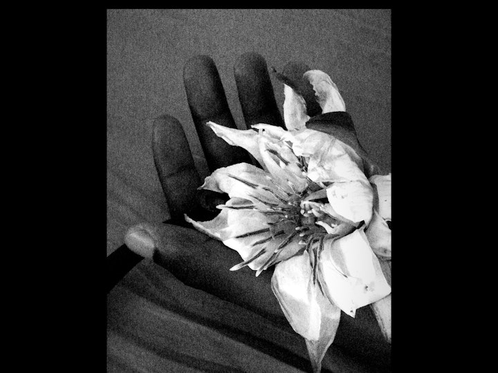 BLOOM
