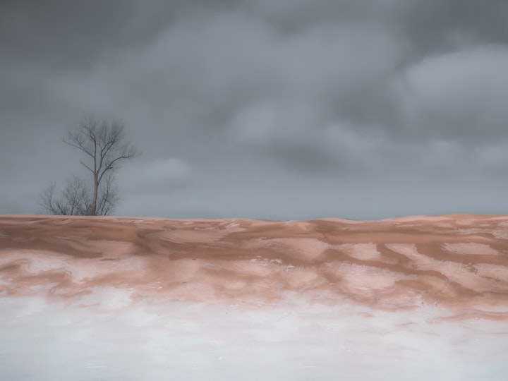 Winter Dunes #1
Dunes Beach, Sandbanks Provincial Park
5x7
8x10
11x14
16x20
Custom sizes and framing available