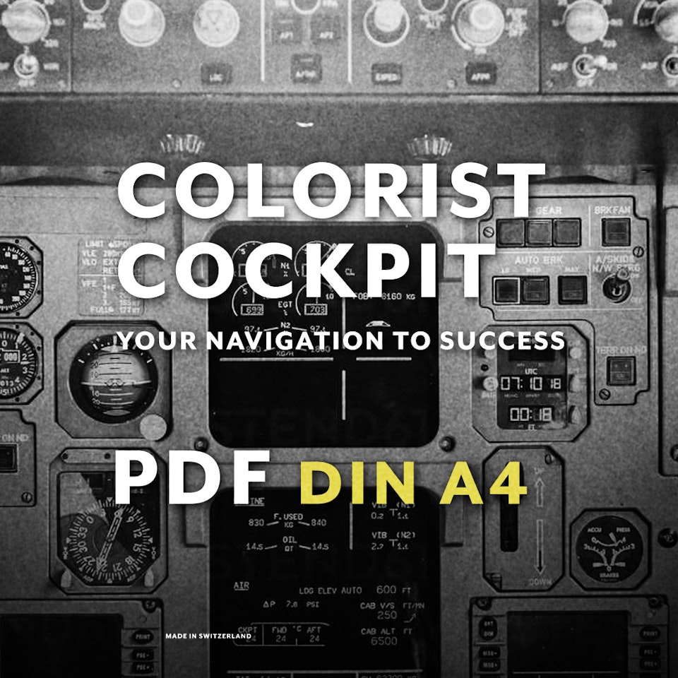 DAVES COLOR - Colorist Cockpit - DIN A4 - PDF