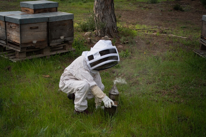Beekeeper - 