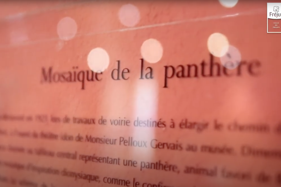 PATRIMOINE / La mosaïque de la Panthère -