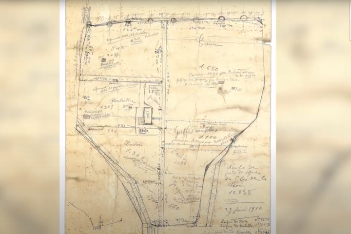 PATRIMOINE / La mosaïque de la Panthère -