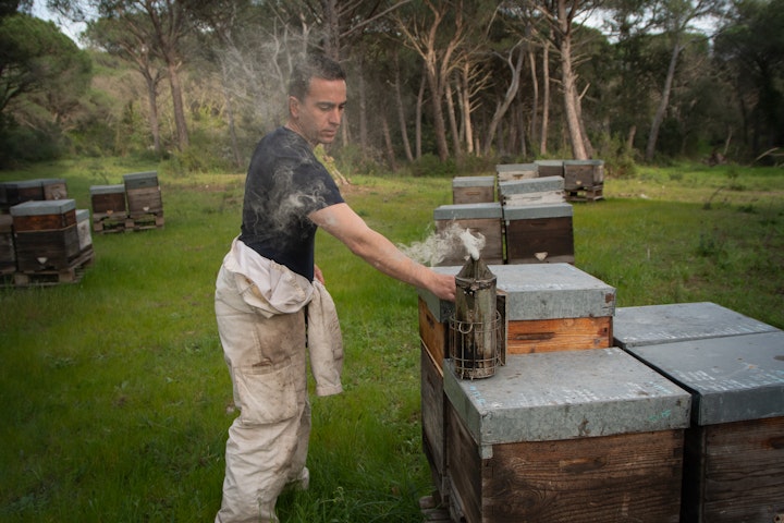 Beekeeper - 