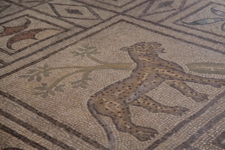 PATRIMOINE / La mosaïque de la Panthère -