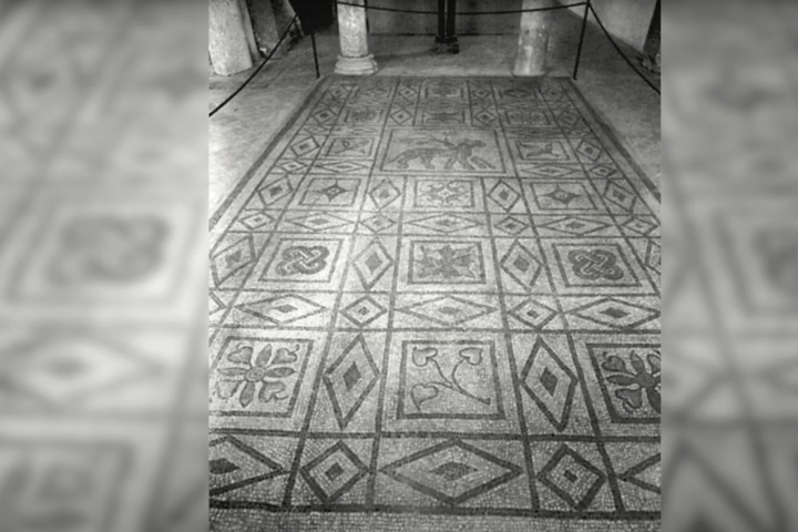 PATRIMOINE / La mosaïque de la Panthère -