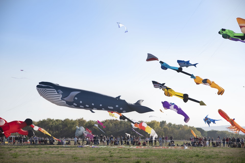 2021 Fréjus Air festival -