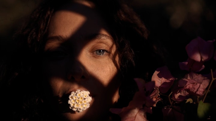 HideOut Suites Campaign -