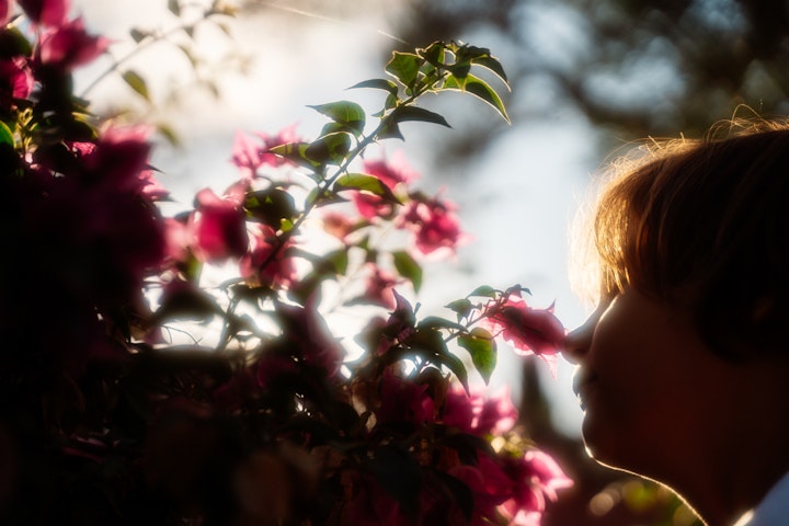 Parga Beach Resort -